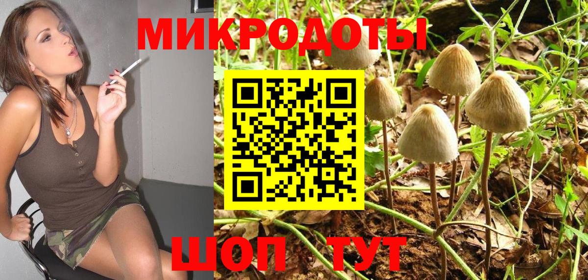 наркота  Вход с VPN  Галлюциногенные грибы ЛСД  Нефтекумск  Галлюциногенные грибы Psilocybe 